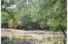 Property photo 4 - Bank Owned Real Estate Auction - San Antonio